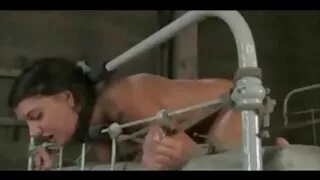Sõbranna Prügikastid purustatud lojaalsus. xx seks film