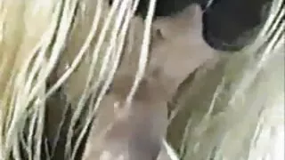 Ma armusin naist vanem kui film sex xxx mina ja ma andsin talle.